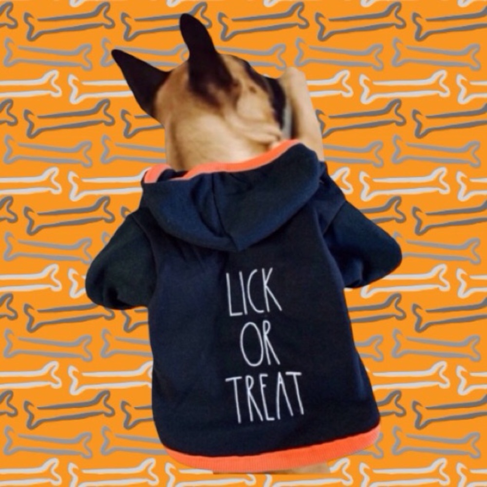 Rae Dunn Pet βLICK OR TREATβ Dog Hoodie Shirt NWT